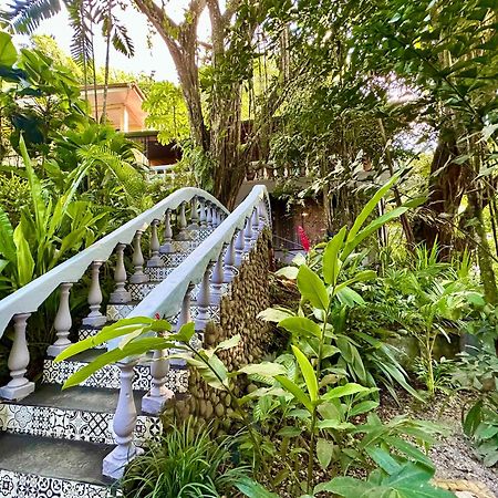 Jungle Beach Hotel 마누엘안토니오 외부 사진