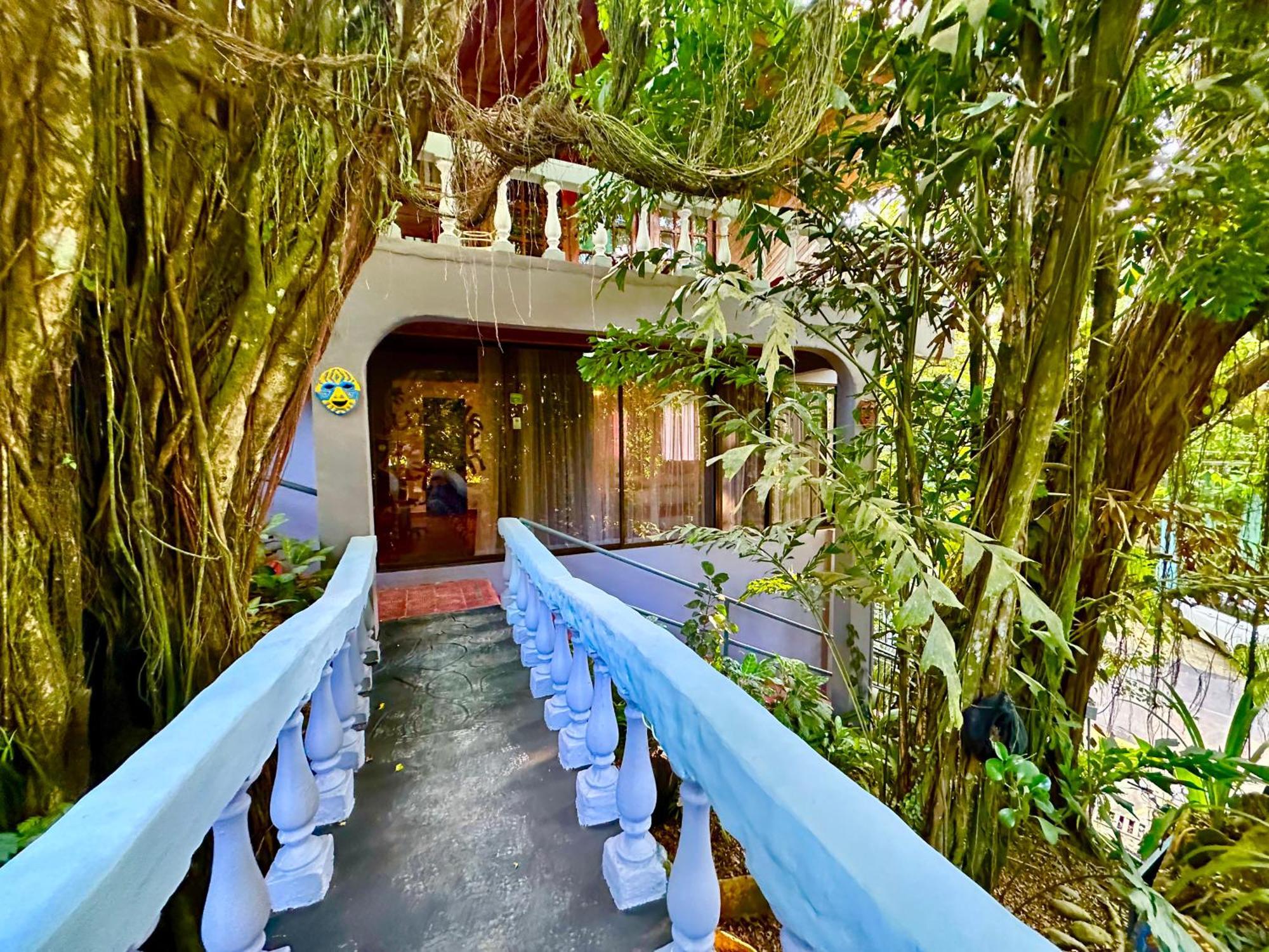 Jungle Beach Hotel 마누엘안토니오 외부 사진
