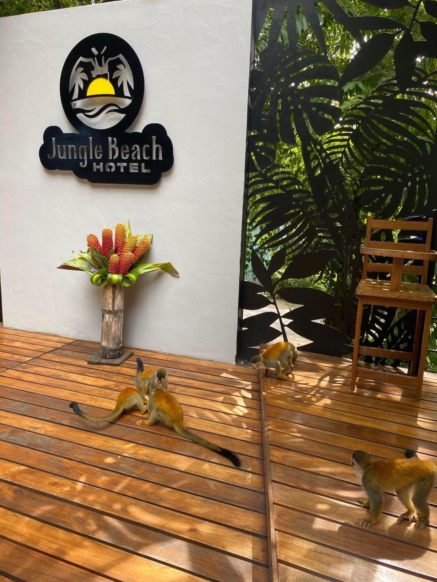 Jungle Beach Hotel 마누엘안토니오 외부 사진