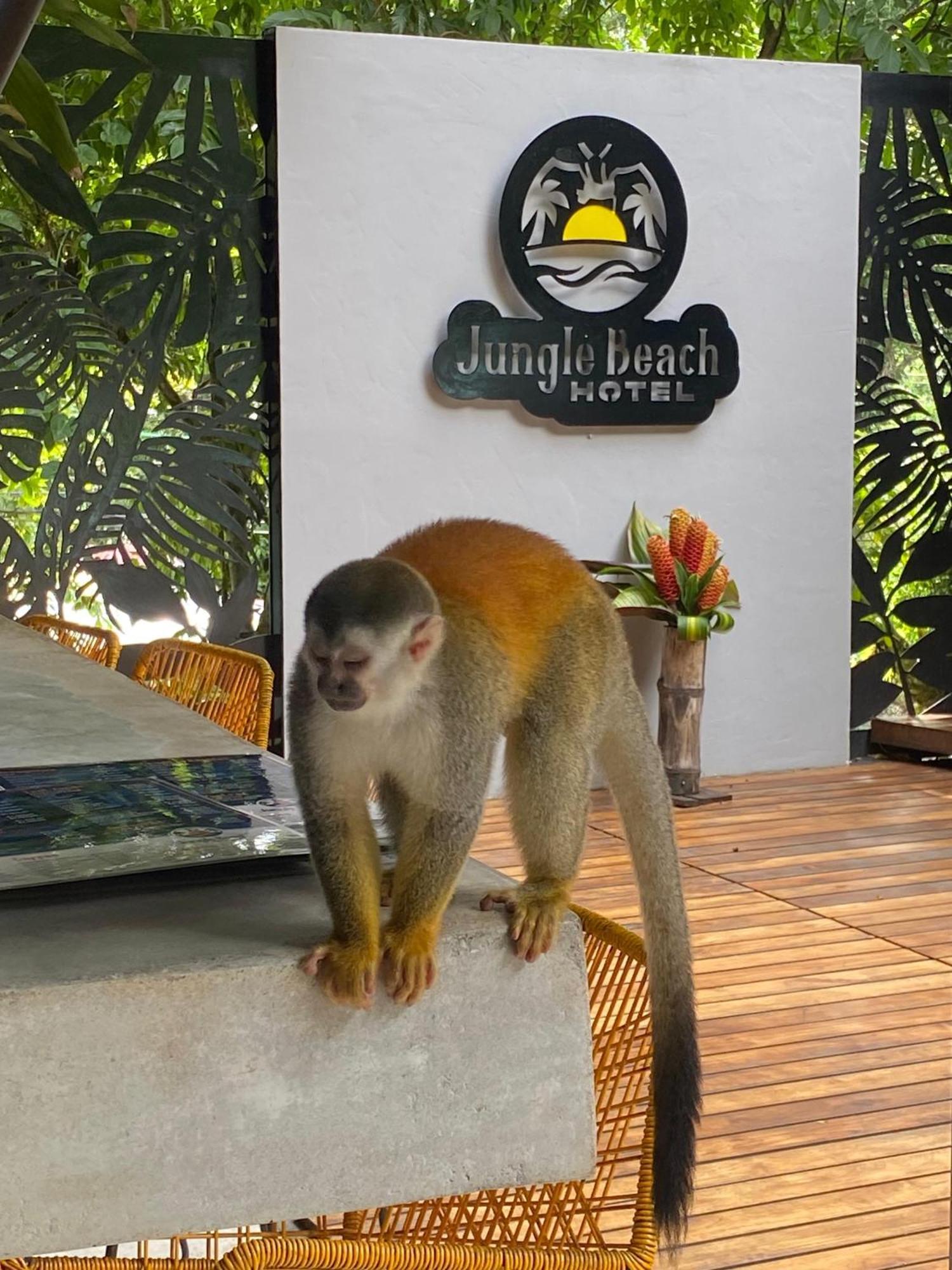 Jungle Beach Hotel 마누엘안토니오 외부 사진