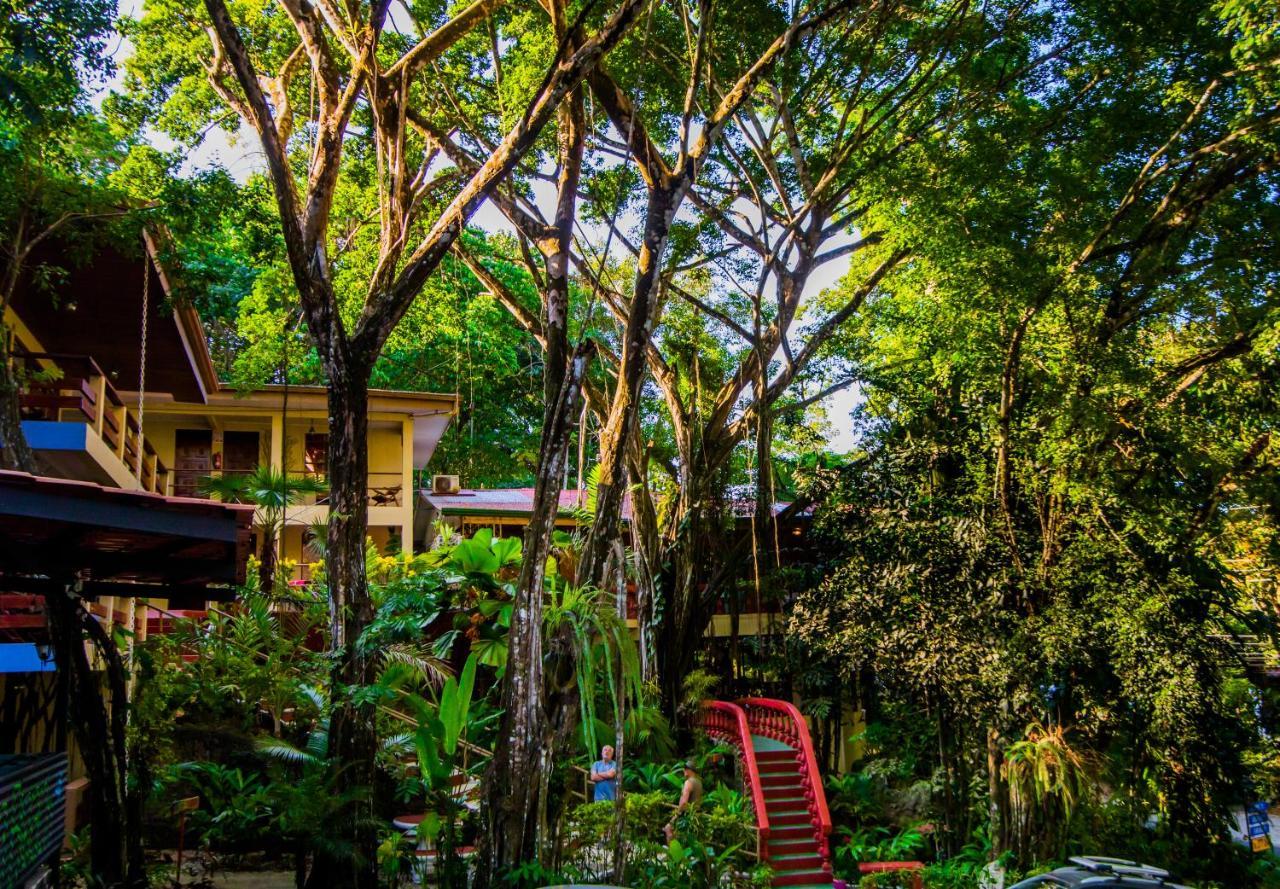 Jungle Beach Hotel 마누엘안토니오 외부 사진